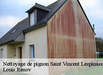 Nettoyage de pignon saint-vincent-lespinasse-82400 Louis Renov