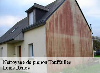 Nettoyage de pignon touffailles-82190 Louis Renov