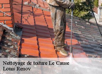 Nettoyage de toiture  le-cause-82500 Louis Renov
