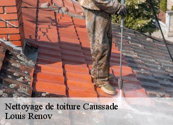 Nettoyage de toiture caussade-82300 M. Bauer