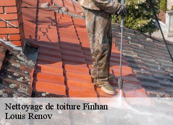 Nettoyage de toiture finhan-82700 M. Bauer