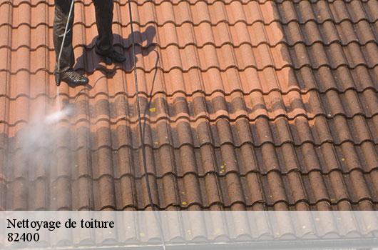 Nettoyage de toiture 82400