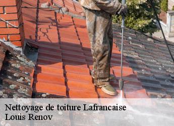 Nettoyage de toiture  lafrancaise-82130 Louis Renov
