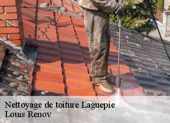 Nettoyage de toiture  laguepie-82250 M. Bauer