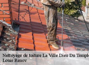 Nettoyage de toiture  la-ville-dieu-du-temple-82290 M. Bauer