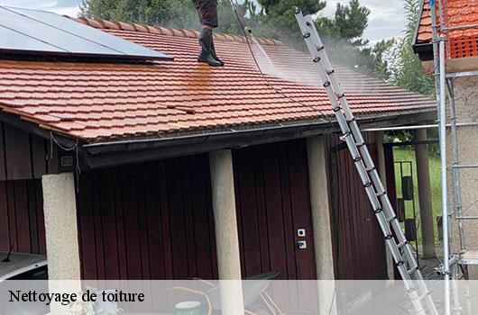 Nettoyage de toiture