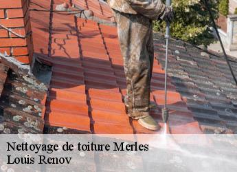 Nettoyage de toiture  merles-82210 Louis Renov