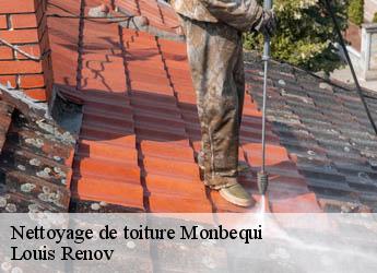 Nettoyage de toiture  monbequi-82170 M. Bauer