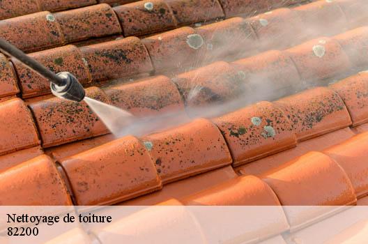Nettoyage de toiture 82200