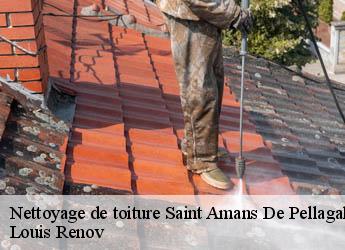 Nettoyage de toiture saint-amans-de-pellagal-82110 M. Bauer