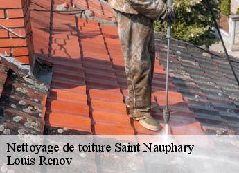 Nettoyage de toiture  saint-nauphary-82370 M. Bauer