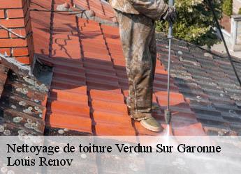 Nettoyage de toiture verdun-sur-garonne-82600 Louis Renov