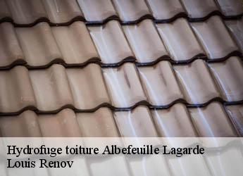 Hydrofuge toiture  albefeuille-lagarde-82290 Louis Renov