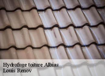 Hydrofuge toiture  albias-82350 Louis Renov