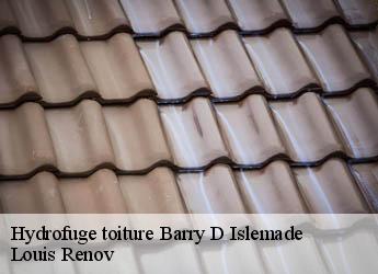 Hydrofuge toiture  barry-d-islemade-82290 Louis Renov