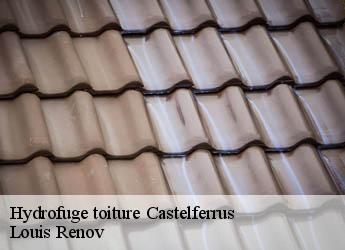 Hydrofuge toiture  castelferrus-82100 Louis Renov