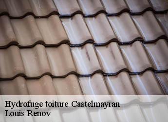 Hydrofuge toiture  castelmayran-82210 Louis Renov