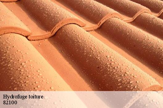 Hydrofuge toiture 82100