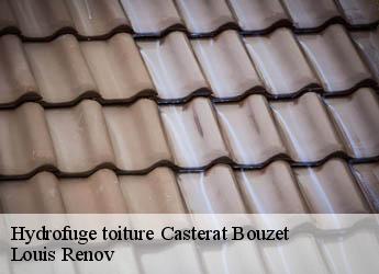 Hydrofuge toiture  casterat-bouzet-82120 Louis Renov