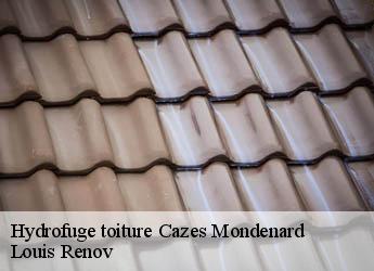 Hydrofuge toiture  cazes-mondenard-82110 Louis Renov