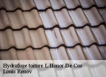 Hydrofuge toiture  l-honor-de-cos-82130 Louis Renov
