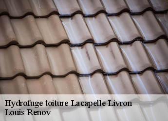 Hydrofuge toiture  lacapelle-livron-82160 Louis Renov