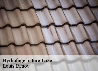 Hydrofuge toiture  loze-82160 Louis Renov
