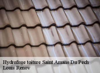 Hydrofuge toiture  saint-amans-du-pech-82150 Louis Renov