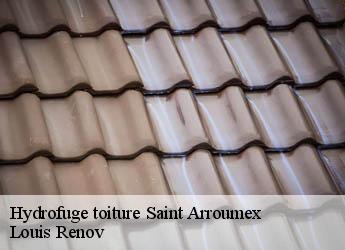 Hydrofuge toiture  saint-arroumex-82210 Louis Renov