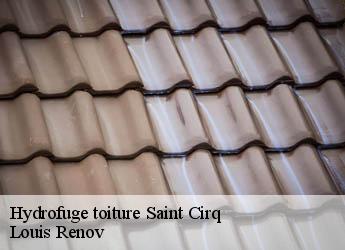 Hydrofuge toiture  saint-cirq-82300 Louis Renov