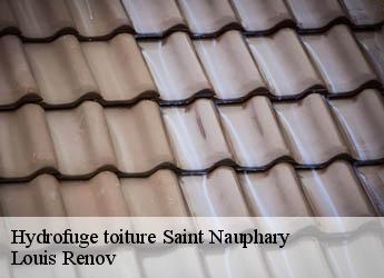 Hydrofuge toiture  saint-nauphary-82370 Louis Renov