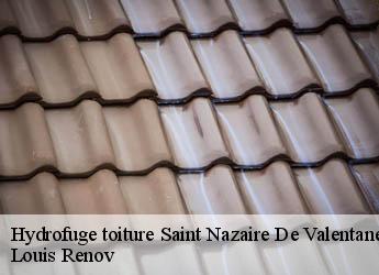 Hydrofuge toiture  saint-nazaire-de-valentane-82190 Louis Renov