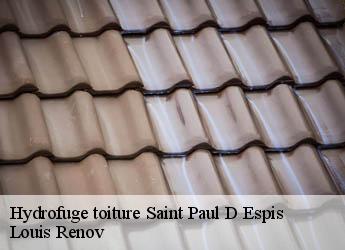 Hydrofuge toiture  saint-paul-d-espis-82400 Louis Renov