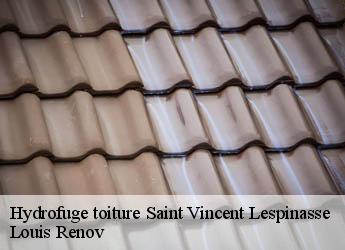 Hydrofuge toiture  saint-vincent-lespinasse-82400 Louis Renov