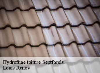 Hydrofuge toiture  septfonds-82240 Louis Renov