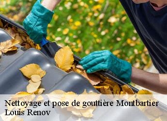 Nettoyage et pose de gouttière montbartier-82700 Louis Renov