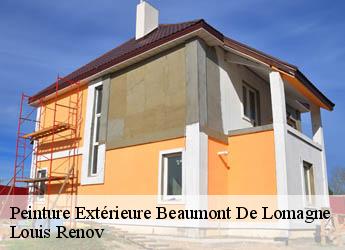 Peinture Extérieure  beaumont-de-lomagne-82500 Louis Renov