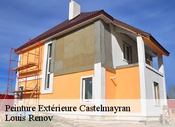 Peinture Extérieure  castelmayran-82210 Louis Renov