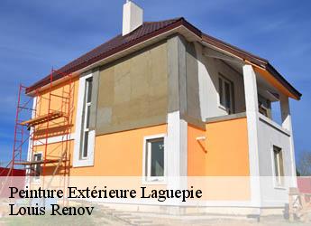 Peinture Extérieure laguepie-82250 Louis Renov