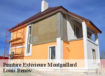 Peinture Extérieure  montgaillard-82120 Louis Renov