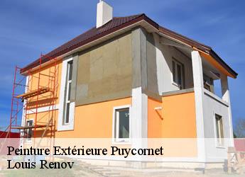 Peinture Extérieure  puycornet-82220 Louis Renov