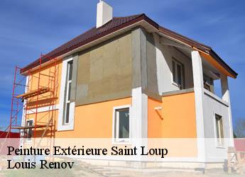 Peinture Extérieure  saint-loup-82340 Louis Renov