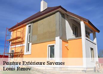 Peinture Extérieure savenes-82600 Louis Renov