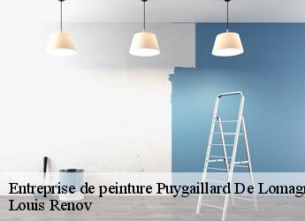 Entreprise de peinture  puygaillard-de-lomagne-82120 Louis Renov