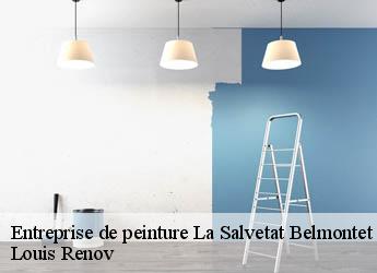 Entreprise de peinture  la-salvetat-belmontet-82230 Louis Renov