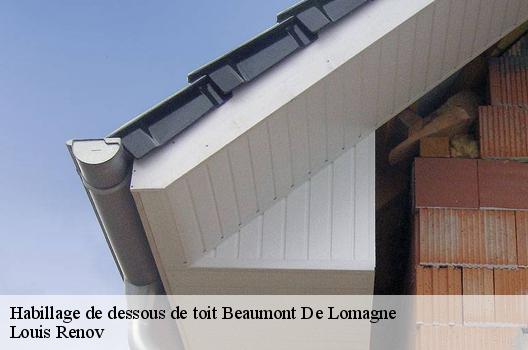 Habillage de dessous de toit  beaumont-de-lomagne-82500 Louis Renov