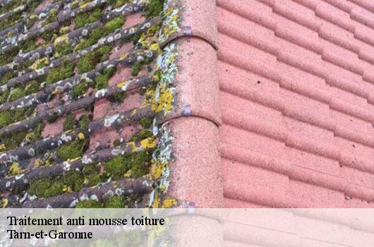 Traitement anti mousse toiture Tarn-et-Garonne 
