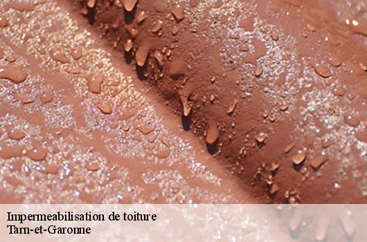 Impermeabilisation de toiture Tarn-et-Garonne 