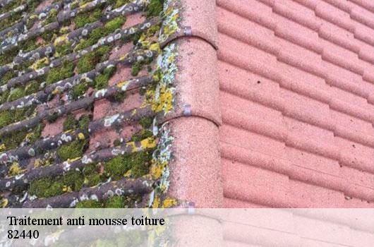Traitement anti mousse toiture  82440
