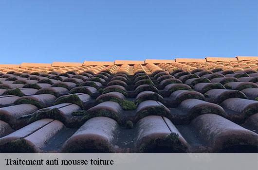 Traitement anti mousse toiture
